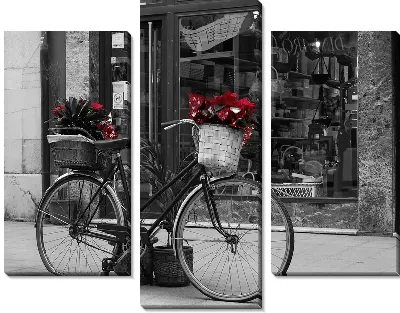 Модульная картина Велосипед с цветами