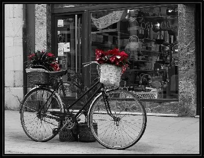 Велосипед с цветами