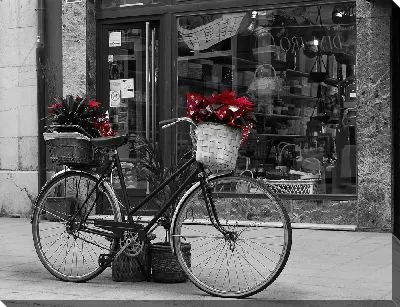 Велосипед с цветами