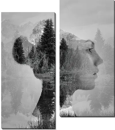 Модульная картина Девушка и природа