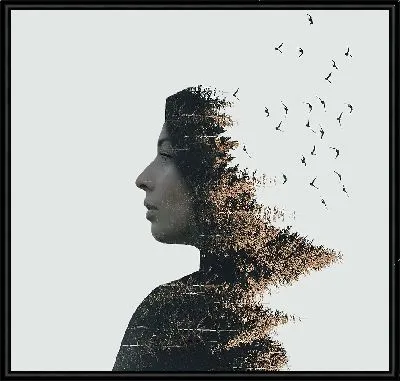 Девушка и птицы №4