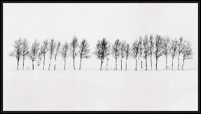 Картина Зимний пейзаж с деревьями