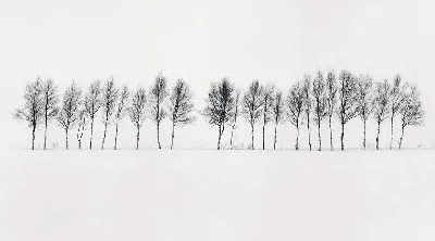 Плакат Зимний пейзаж с деревьями