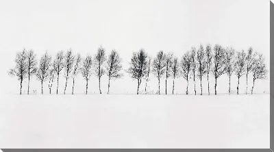 Постер Зимний пейзаж с деревьями