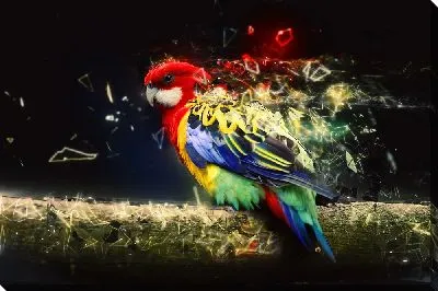 Постер Попугай-киборг