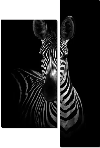 Модульная картина Стильная зебра в ч/б