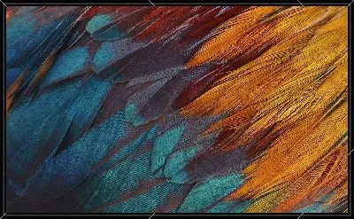 Разноцветные перья №2