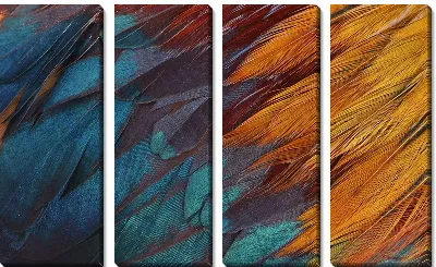 Разноцветные перья №2