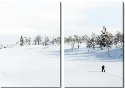 Модульная картина Скандинавская прогулка зимой