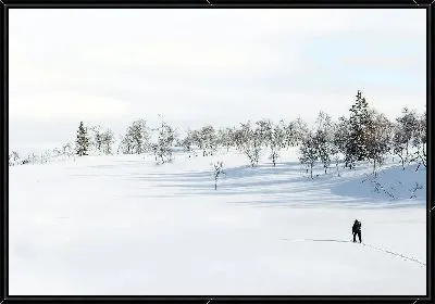 Скандинавская прогулка зимой