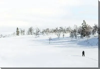 Скандинавская прогулка зимой