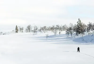 шаблон id 38