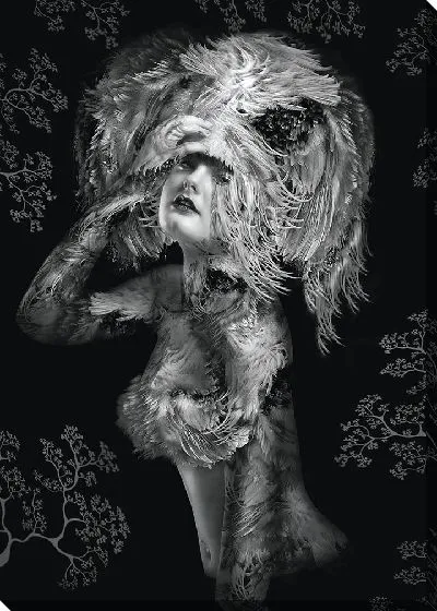 Постер Девушка с перьями на фоне орнамента