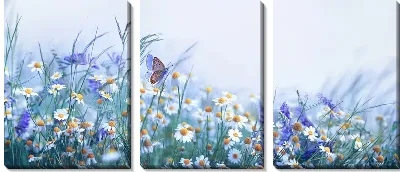 Модульная картина Бабочка на ромашковом поле