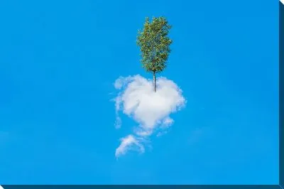 Постер Дерево на облаке в форме сердца