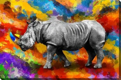 Носорог на разноцветном фоне
