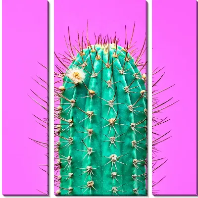 Модульная картина Кактус на ярком фоне