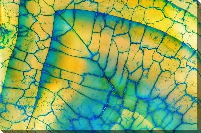 Картина маслом Макро желто-синие листья