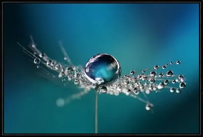 Большая капля воды