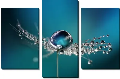 Большая капля воды