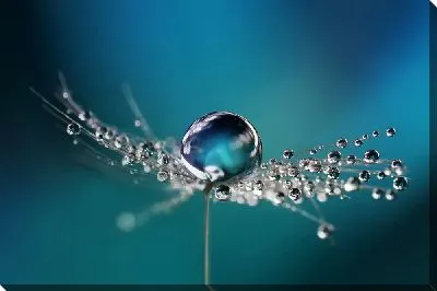 Большая капля воды