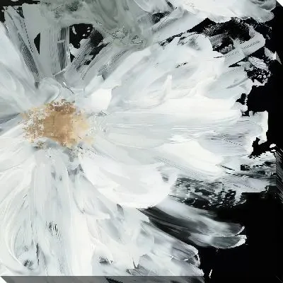 Постер Макро пион