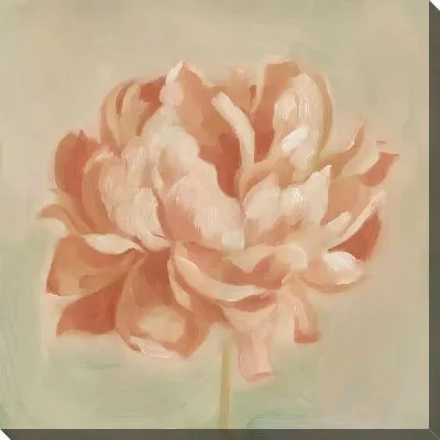 Картина маслом Персиковый пион