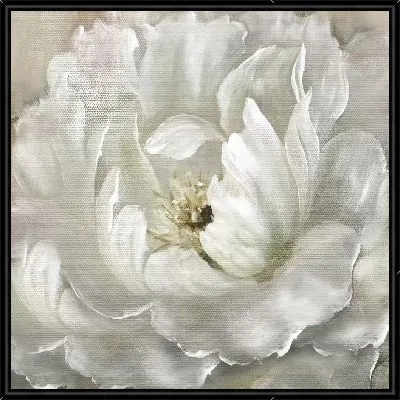 Белый бутон пиона