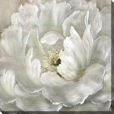 Белый бутон пиона