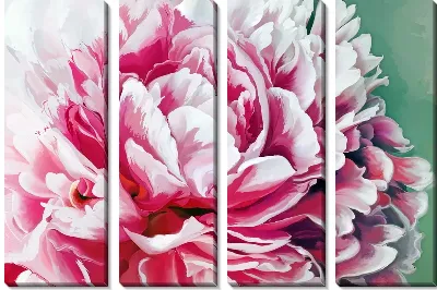 Модульная картина Крупный розовый пион