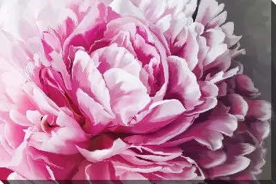 Картина маслом Крупный розовый пион