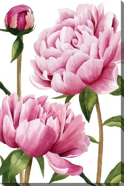 Картина маслом Три пиона