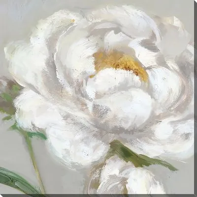 Картина маслом Насыщенный белый пион