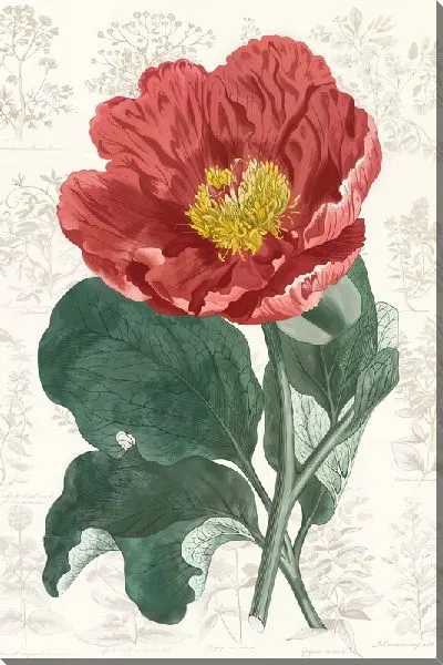 Картина маслом Пион с листьями