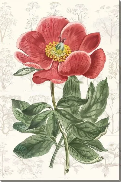 Картина маслом Пион с зелеными листьями