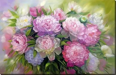 Букет пионов с размытым фоном