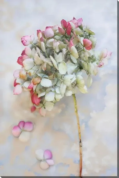 Картина маслом Гортензия в пастельных тонах