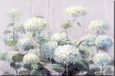 Картина маслом Белые гортензии на светло-розовом фоне