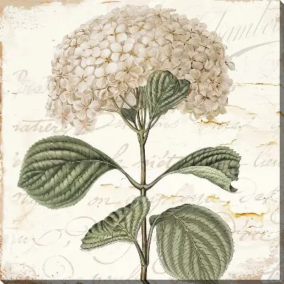 Картина маслом Ветка с гортензиями и листьями