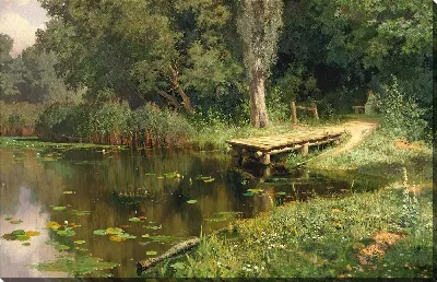 Заросший пруд