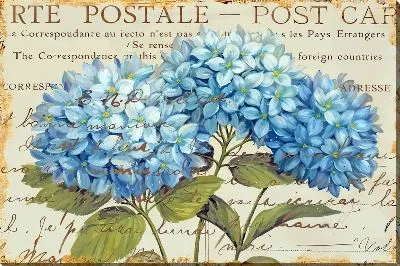 Картина маслом Винтажная композиция с гортензиями