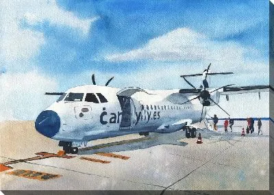 Картина маслом Путешествие на винтовом самолете