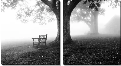 Модульная картина Стул под деревом в туманную погоду
