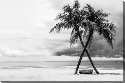 Постер Две пальмы на пляже