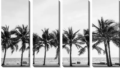 Пальмы в ряд на пляже