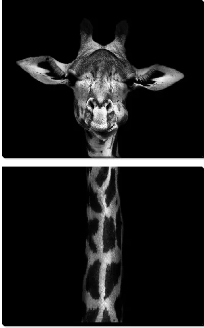 Модульная картина Серьезный жираф