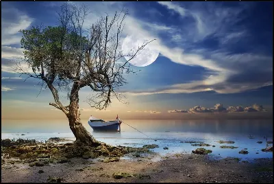 картина