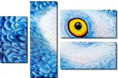 Модульная картина Взгляд совы