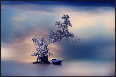 картина