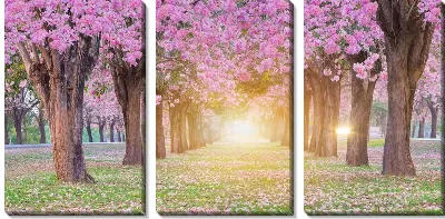 Модульная картина Сакура на восходе